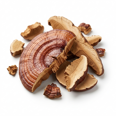 פטריית ריישי