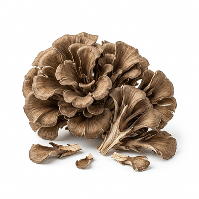 פטריית מיטאקה